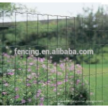 Good quality galvanized wove iron flower euro fence/decorative euro border fence